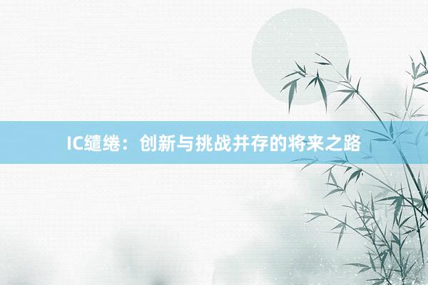 IC缱绻：创新与挑战并存的将来之路