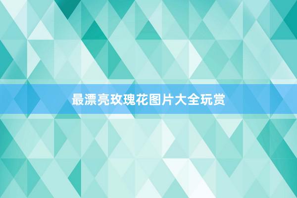 最漂亮玫瑰花图片大全玩赏