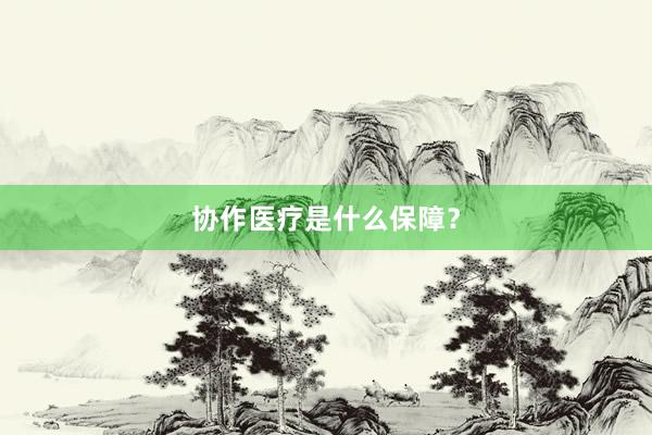 协作医疗是什么保障?