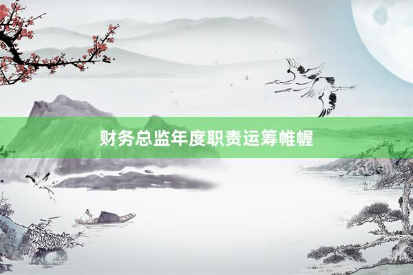 财务总监年度职责运筹帷幄