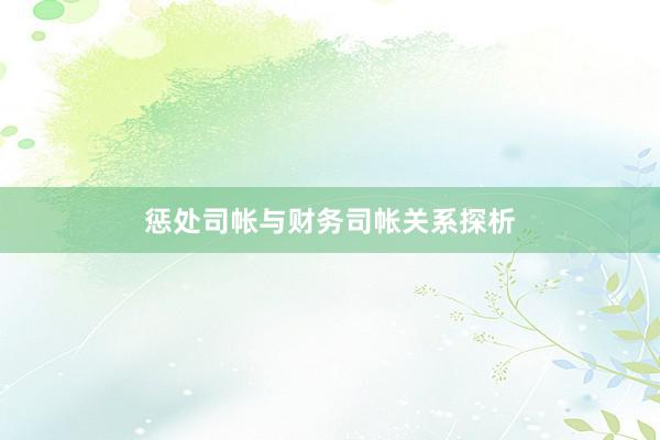 惩处司帐与财务司帐关系探析